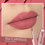Pink Flash Melting Matte Waterproof Lipstick -Flamingos-N04