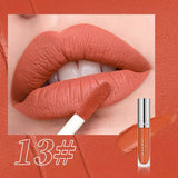 IMAGIC Natural Matte Liquid Lipgloss
